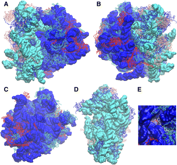 Fig. 6