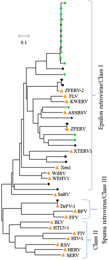 Fig. 7