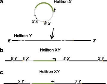 Fig. 8