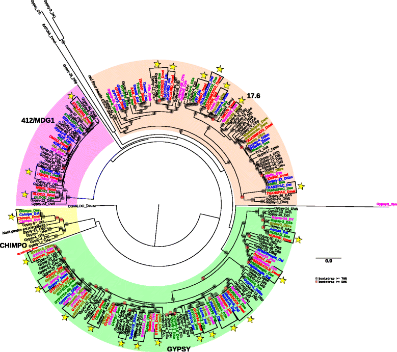 Fig. 5