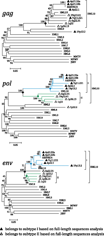 Fig. 8