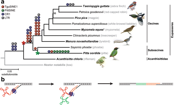 Fig. 3