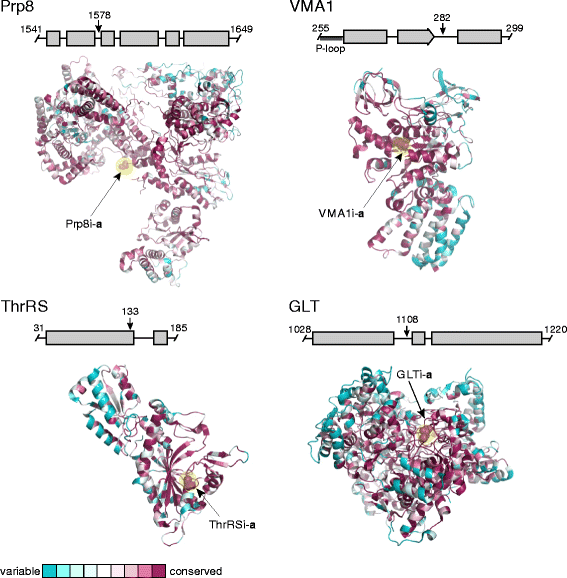 Fig. 4