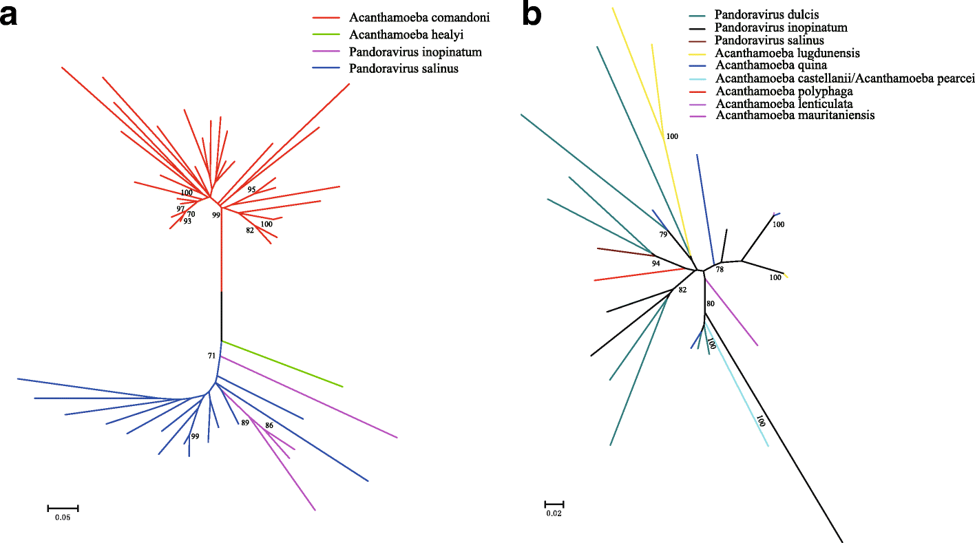 Fig. 5