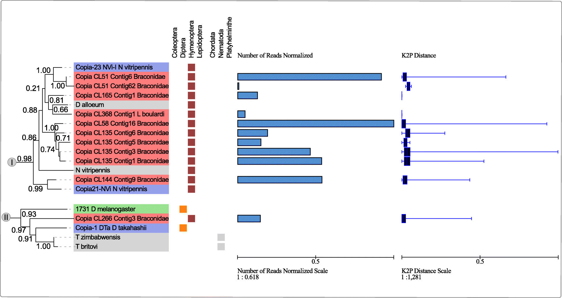 Fig. 5