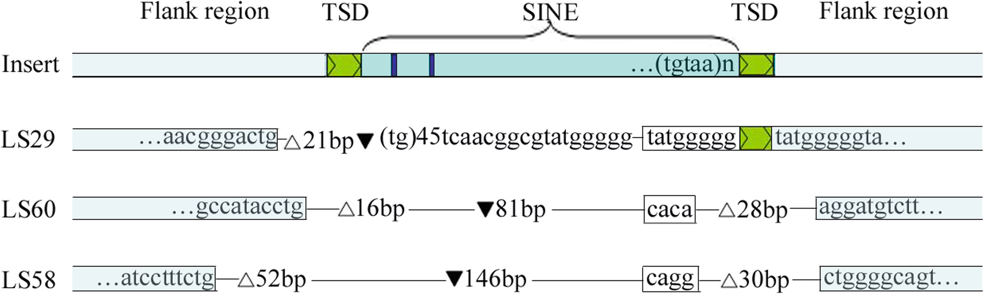 Fig. 10