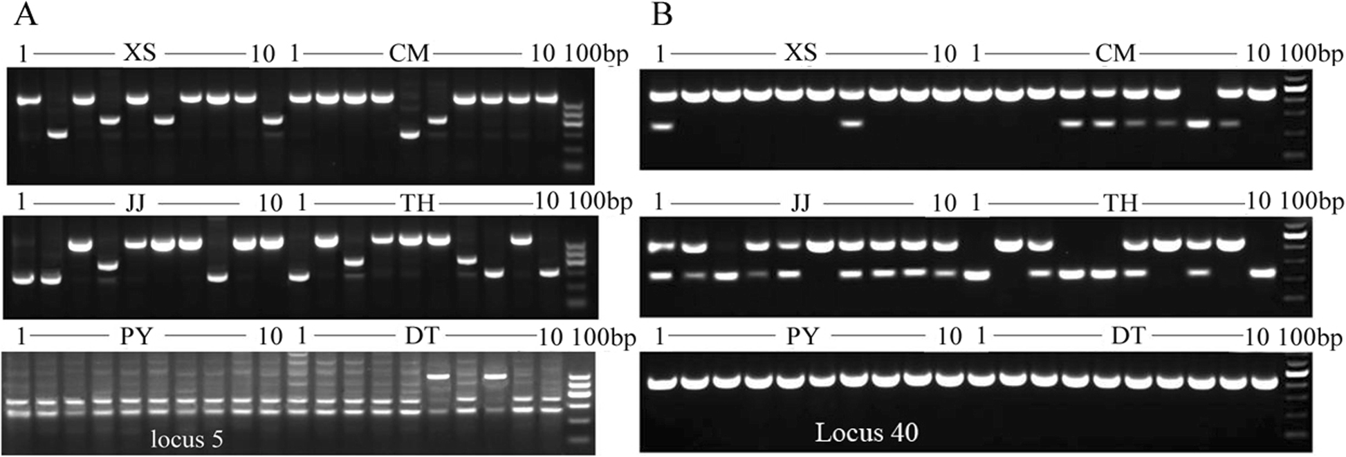 Fig. 7