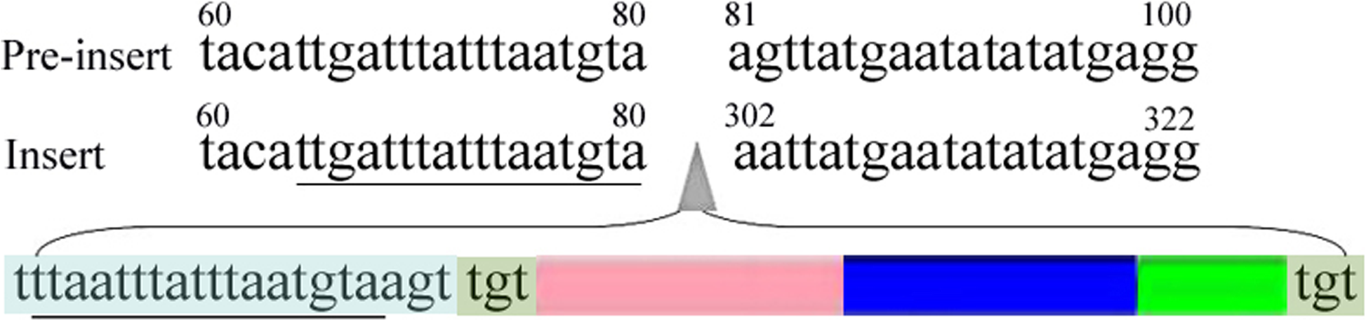 Fig. 9