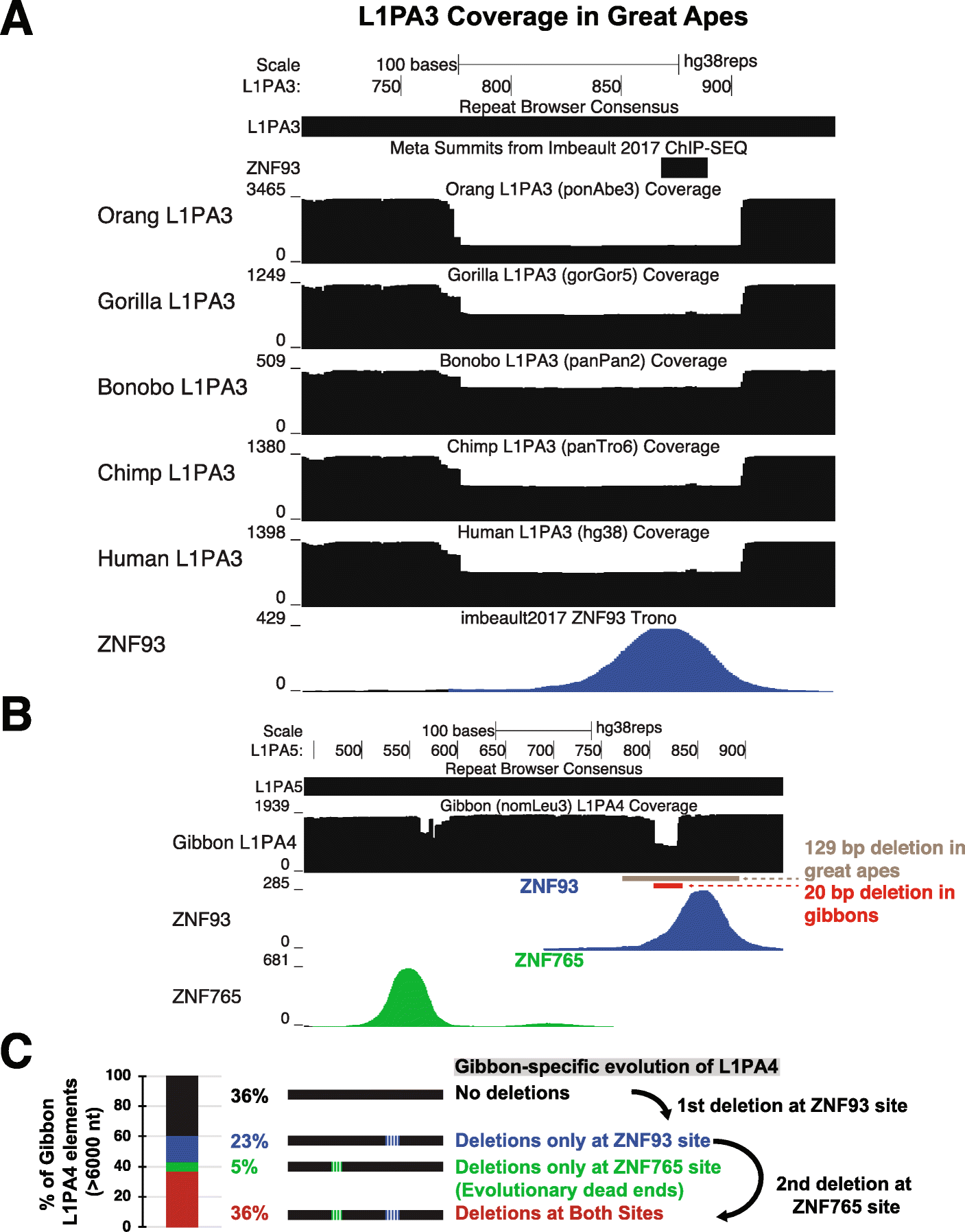 Fig. 5