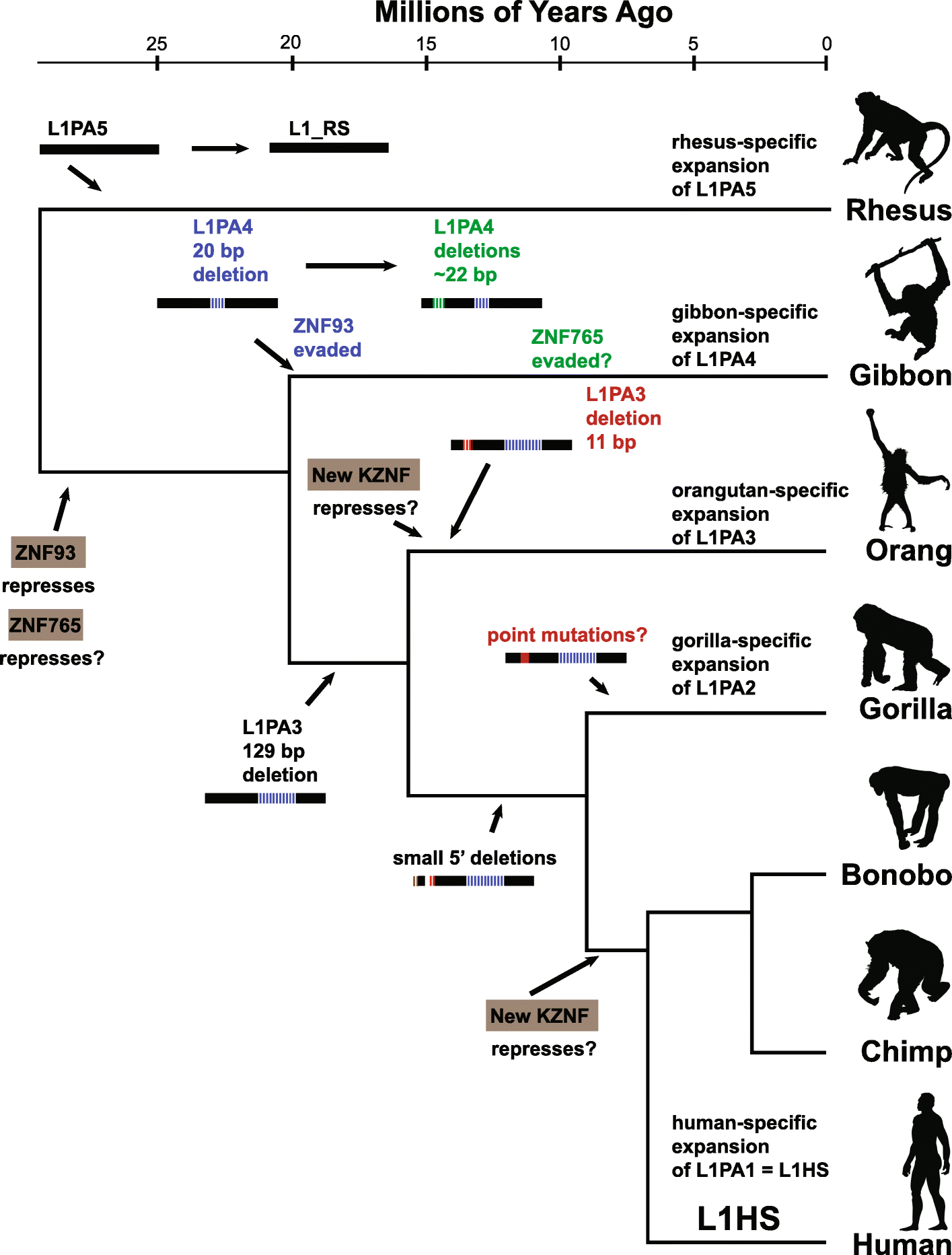 Fig. 7