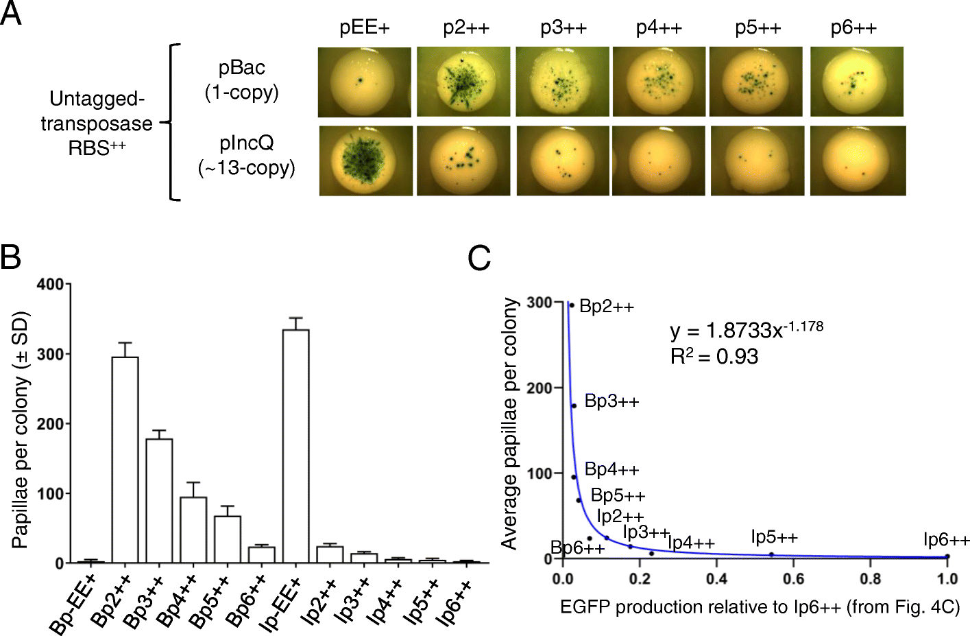 Fig. 5