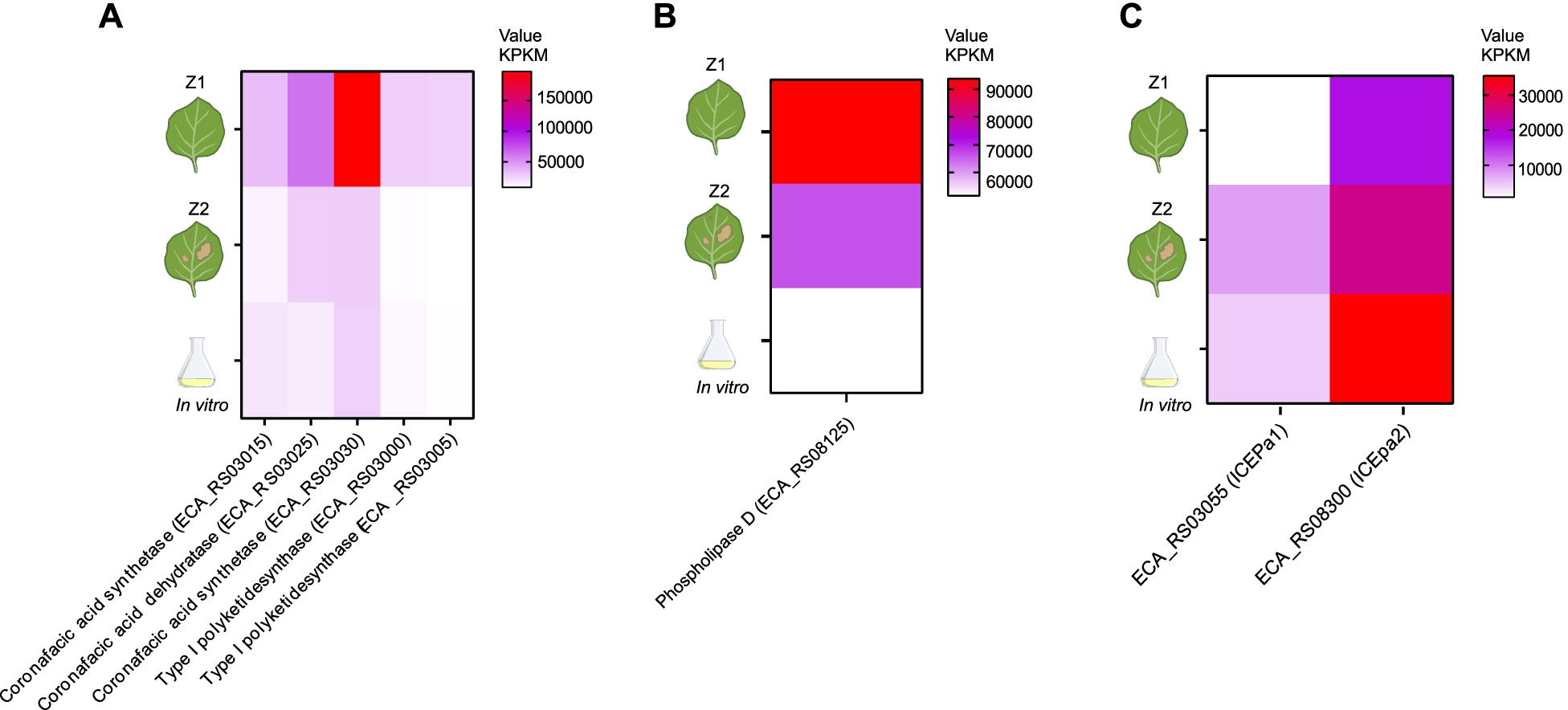 Fig. 4