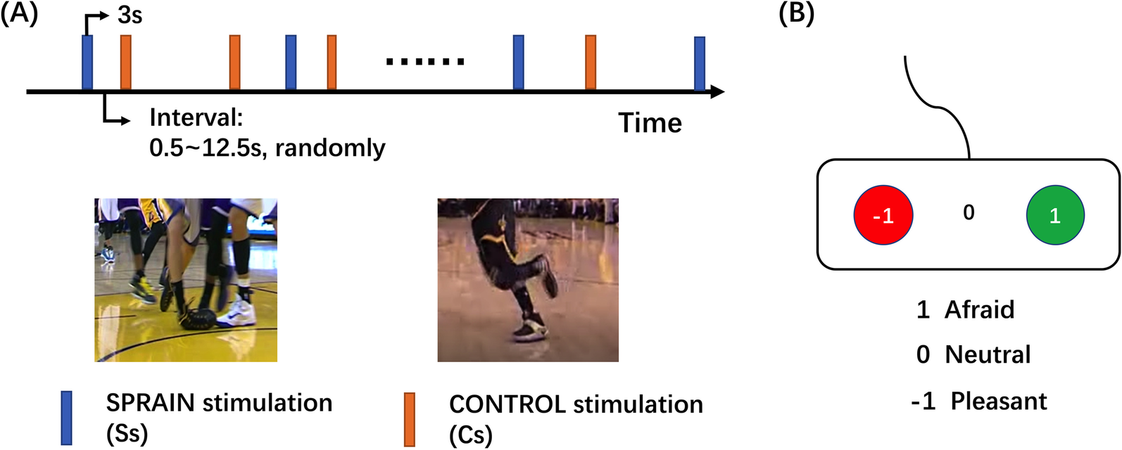 Fig. 1