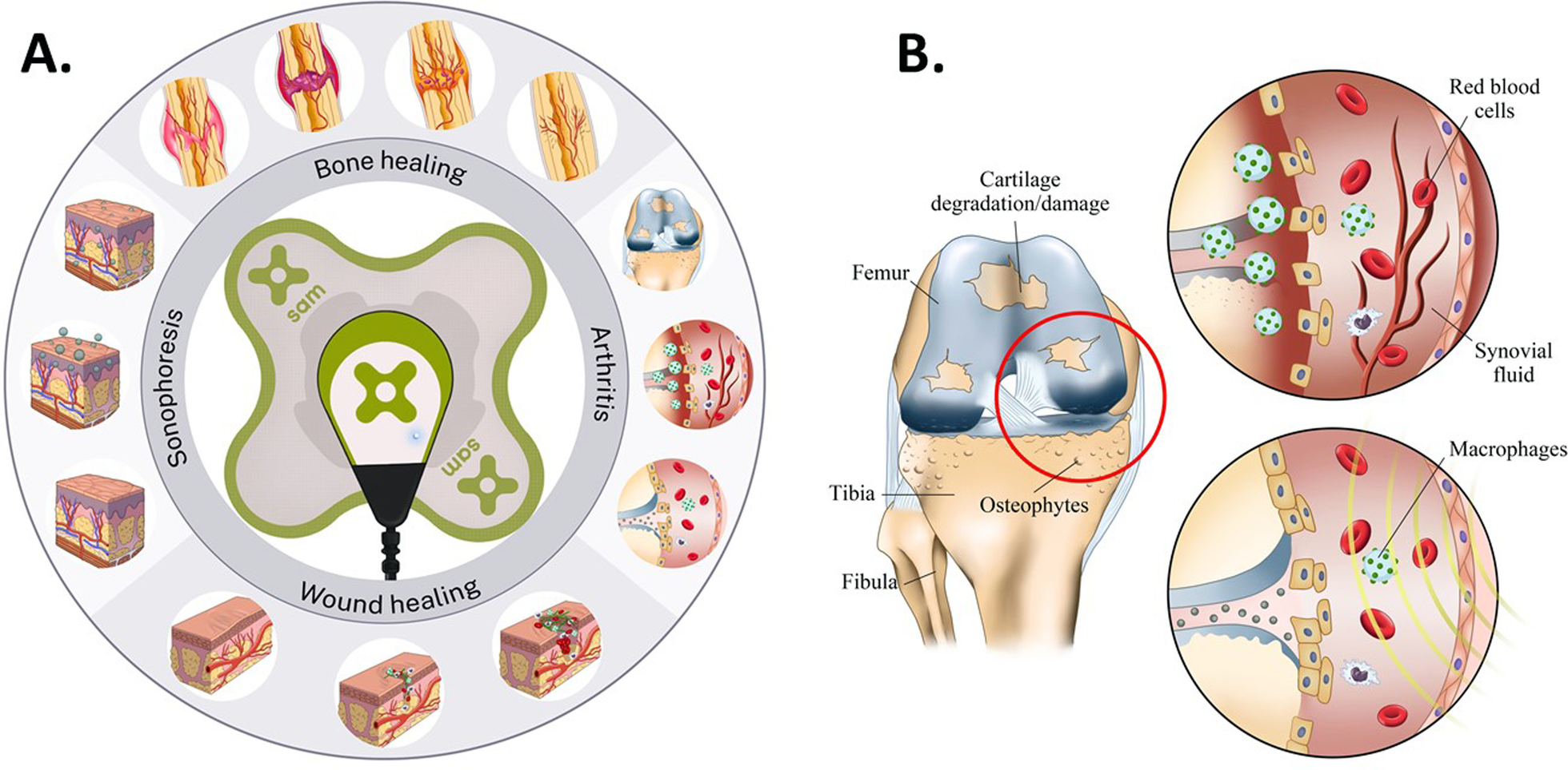 Fig. 6