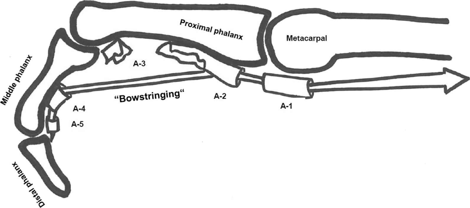 Fig. 9