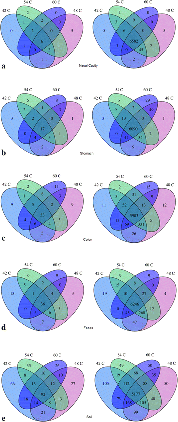 Figure 5