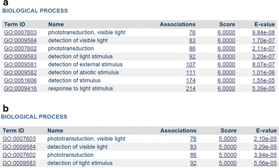 Figure 5