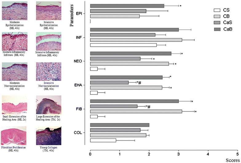 Figure 4