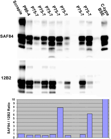 Fig. 5