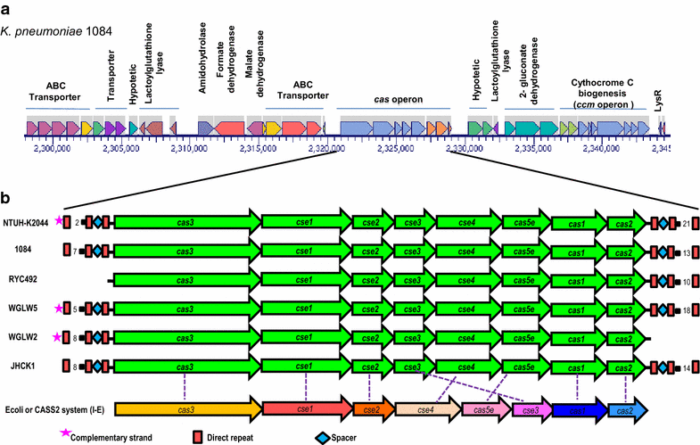 Fig. 2