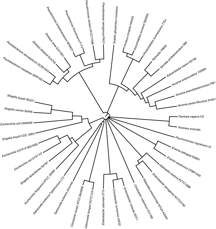 Fig. 2