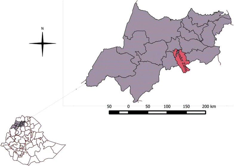 Fig. 1