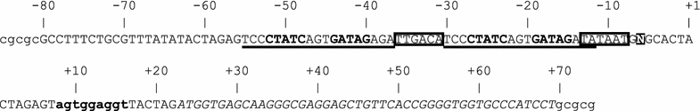 Fig. 1