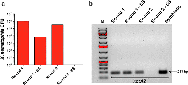 Fig. 2