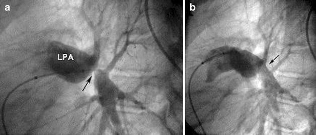 Fig. 5