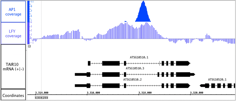 Fig. 6