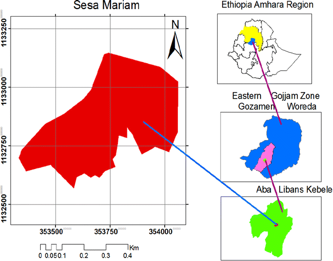 Fig. 1