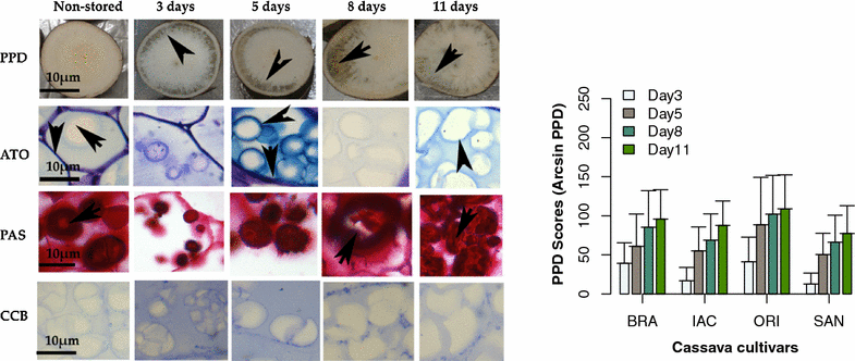 Fig. 4