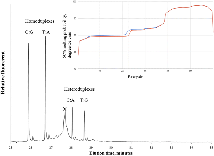 Fig. 5