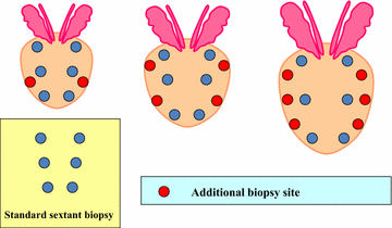 Fig. 1