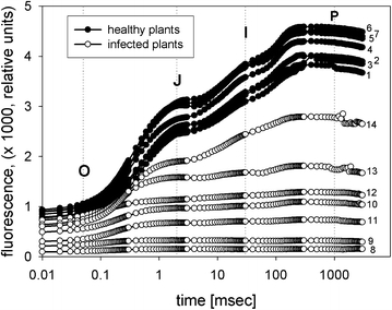 Fig. 1