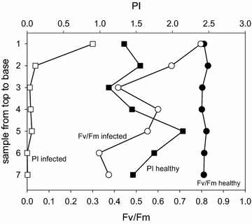 Fig. 3