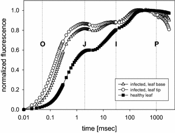 Fig. 4