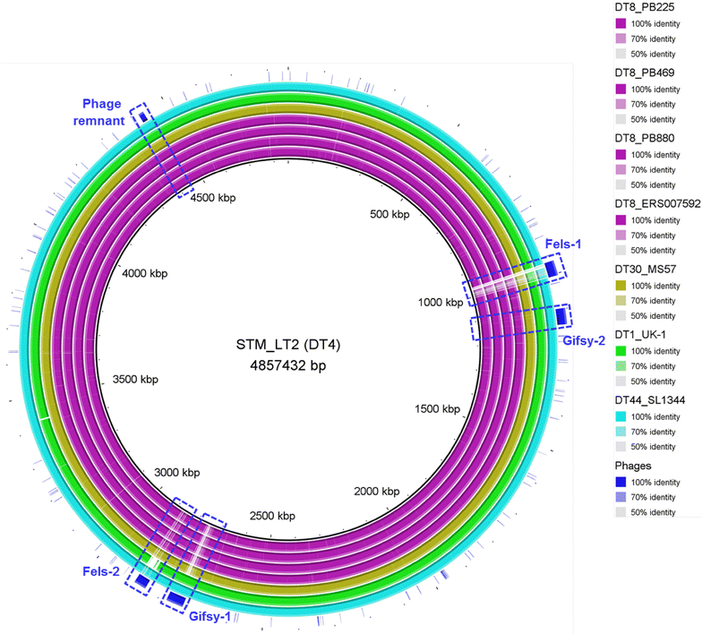 Fig. 2