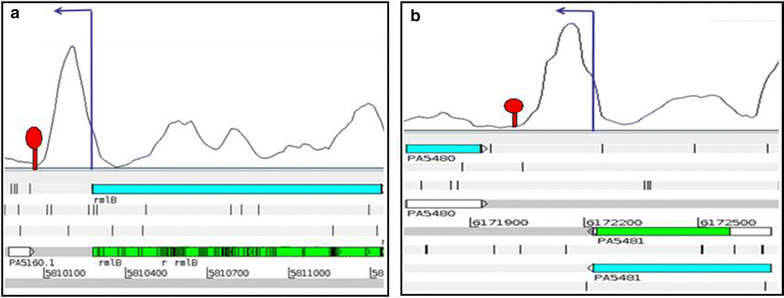 Fig. 3