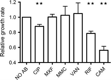 Fig. 4