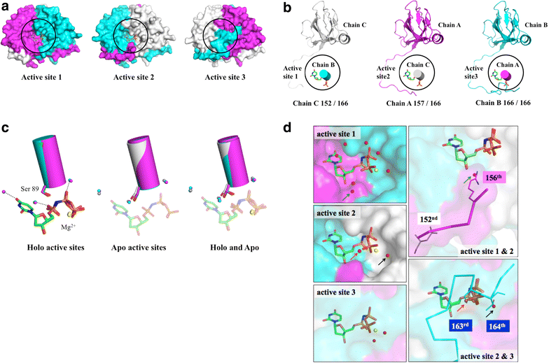 Fig. 2