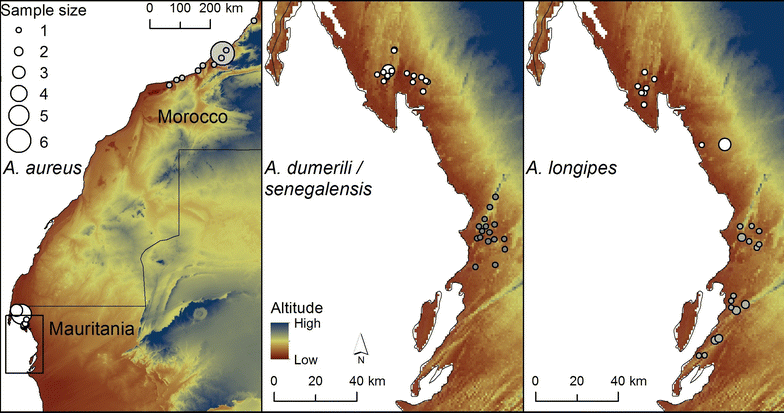 Fig. 1