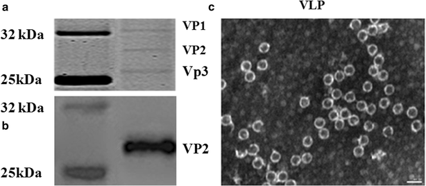 Fig. 2