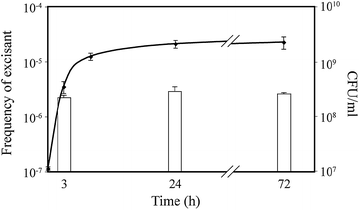 Fig. 2