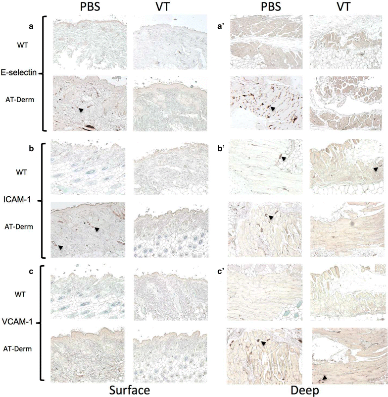 Fig. 4