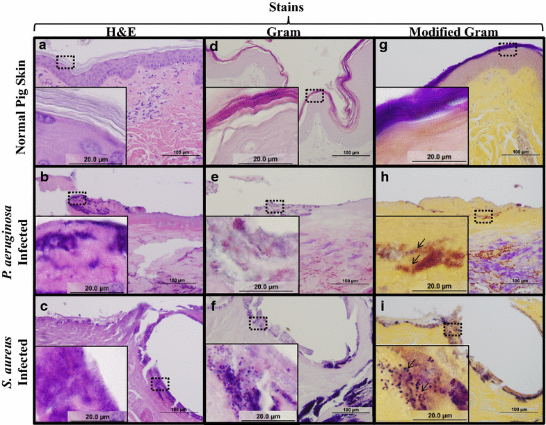 Fig. 4