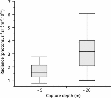 Fig. 2