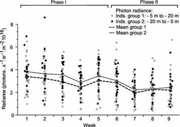 Fig. 3