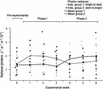 Fig. 4