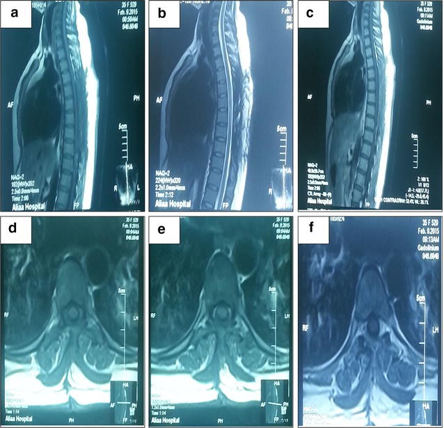 Fig. 4